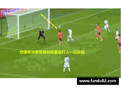 维达：从球场巅峰到人生新篇章