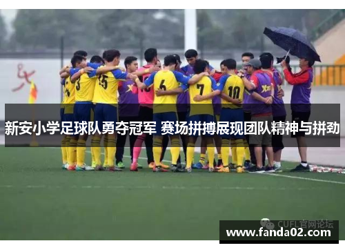 新安小学足球队勇夺冠军 赛场拼搏展现团队精神与拼劲