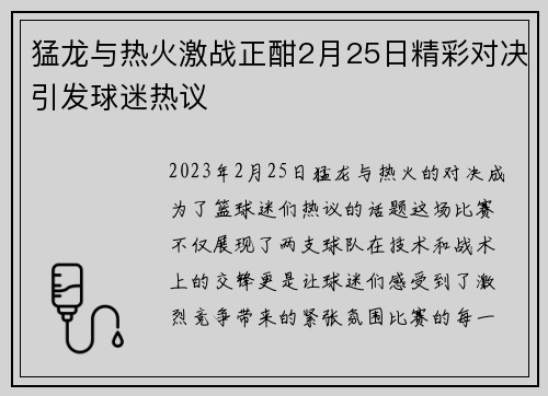 猛龙与热火激战正酣2月25日精彩对决引发球迷热议