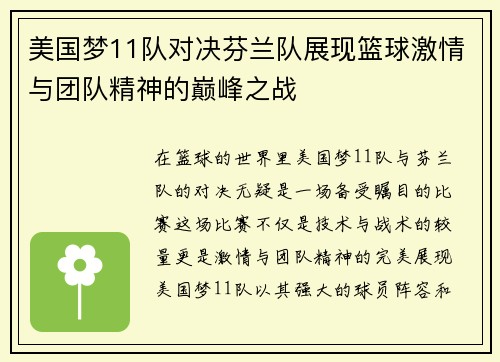美国梦11队对决芬兰队展现篮球激情与团队精神的巅峰之战